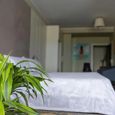 Hotel Pirro 3*